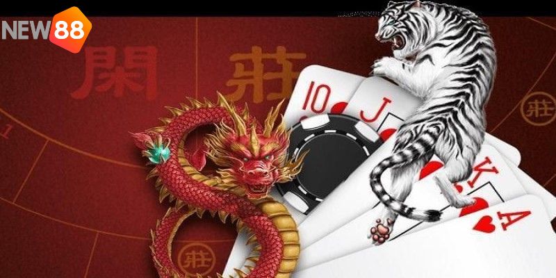 Cách chơi rồng hổ